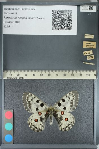 Media type: image;   Entomology 174969